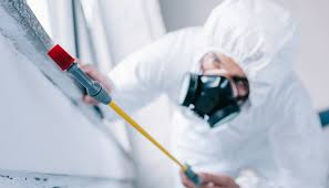 Best Fumigation Services  in Whetstone, AZ